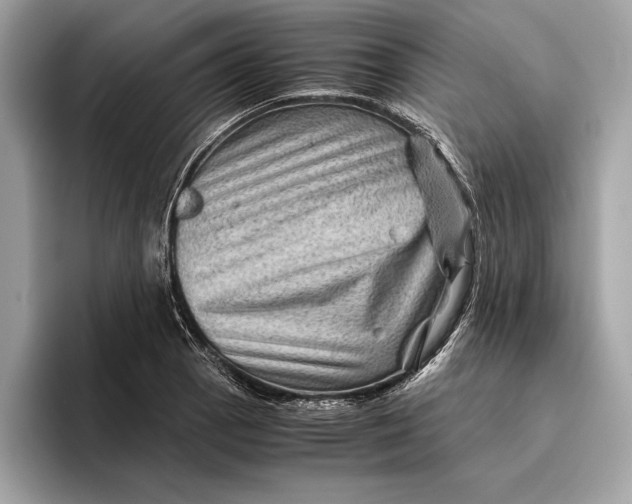 X0000096441129200802141446