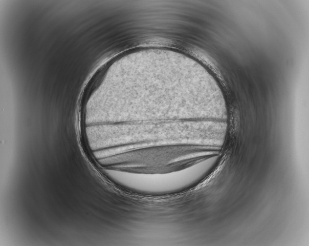 X0000096441130200802141446