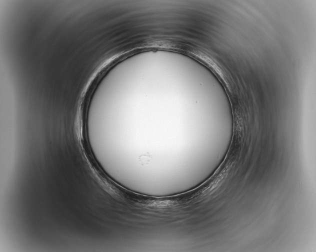 X0000096441131200802141446