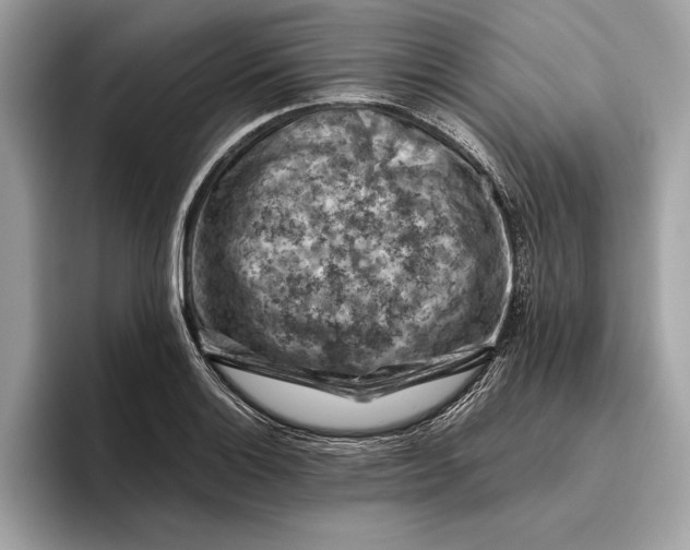 X0000096441132200802141446