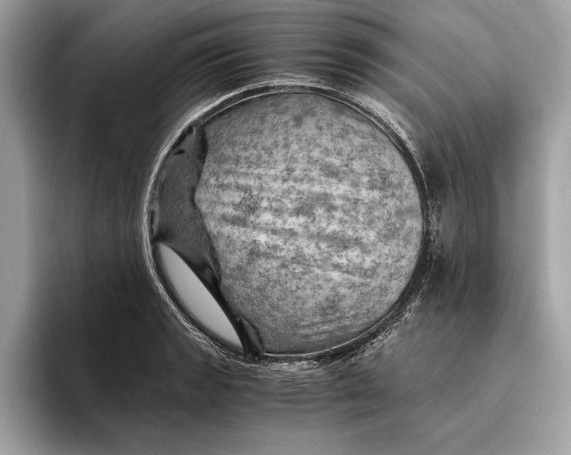 X0000096441133200802141446