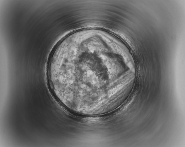 X0000096441134200802141446