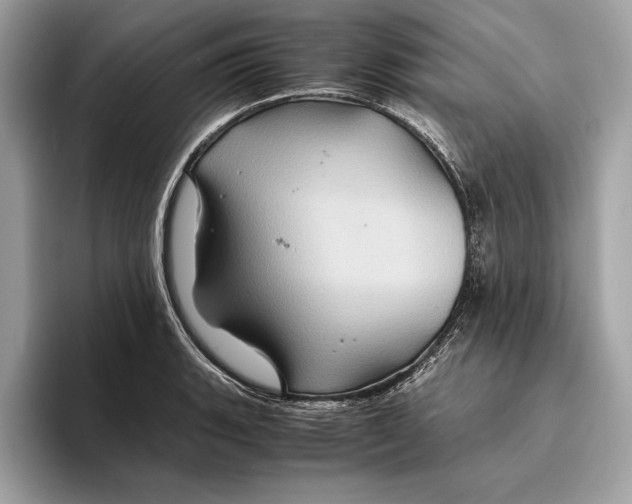 X0000096441135200802141446