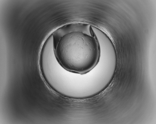 X0000096441136200802141446