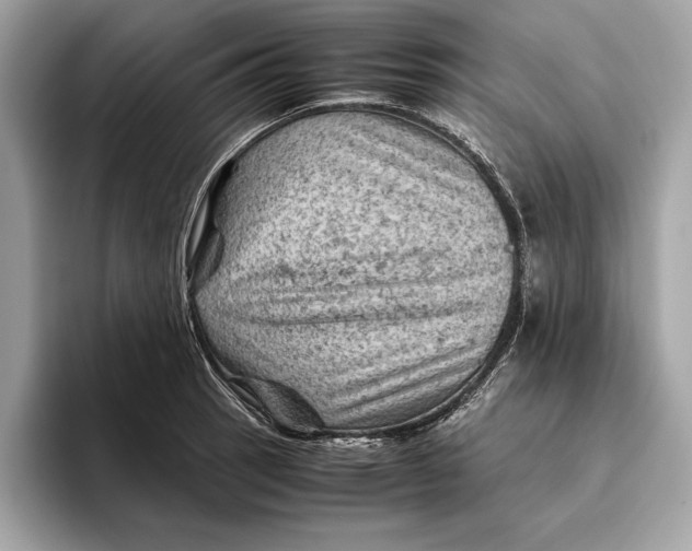 X0000096441137200802141446