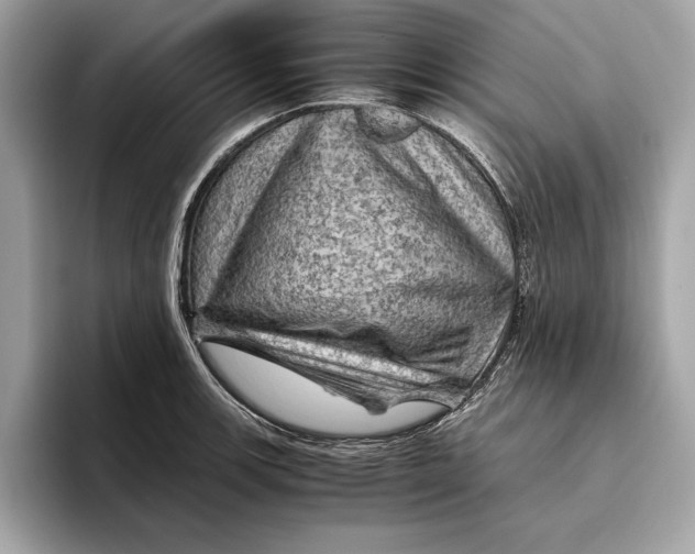 X0000096441139200802141446