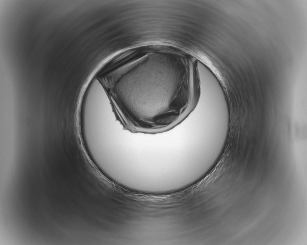 X0000096441140200802141446