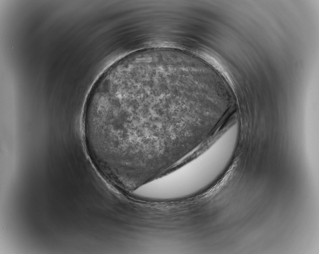 X0000096441141200802141446