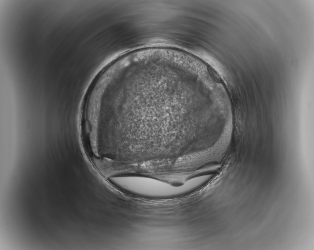 X0000096441142200802141446