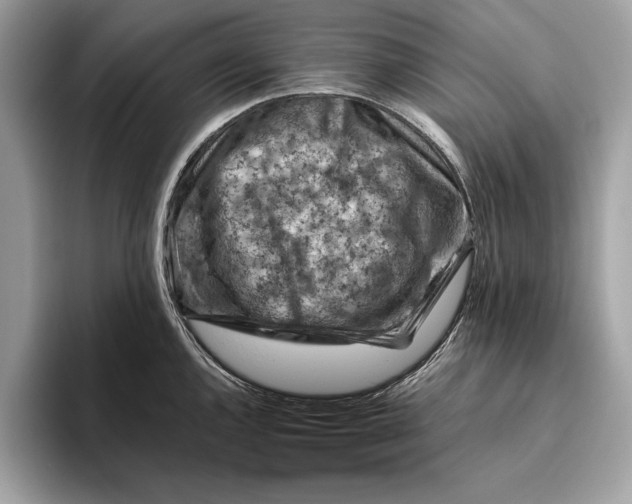 X0000096441144200802141447