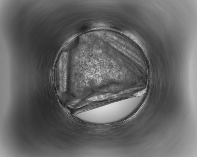 X0000096441145200802141447