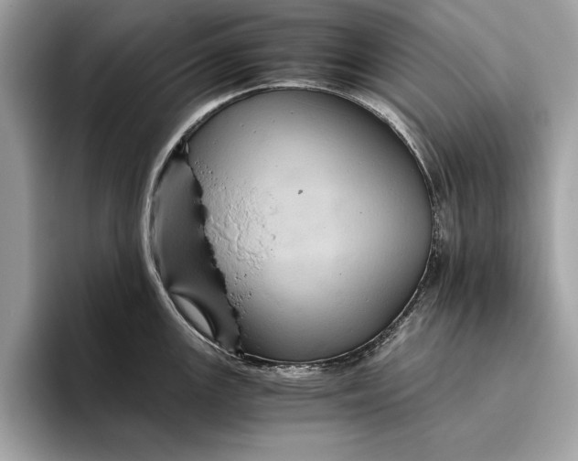 X0000096441147200802141447