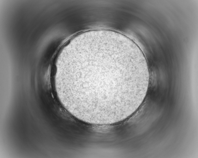 X0000096441150200802141447