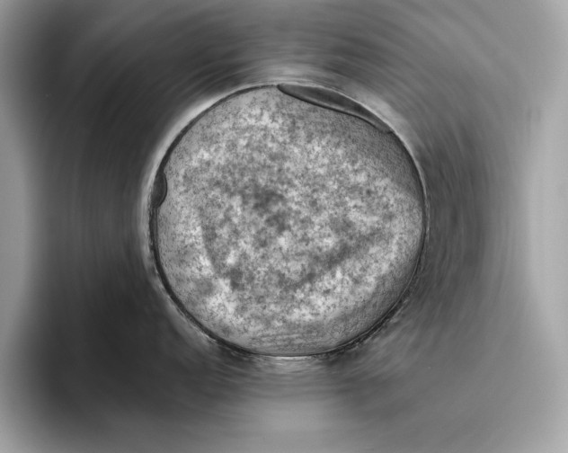 X0000096441152200802141447