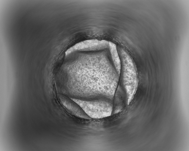 X0000096441153200802141446