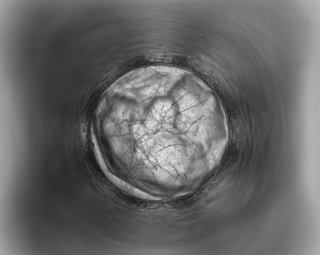 X0000096441154200802141446