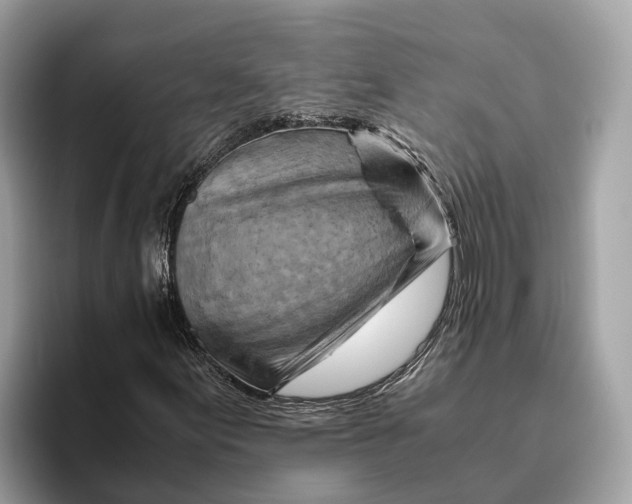 X0000096441155200802141446