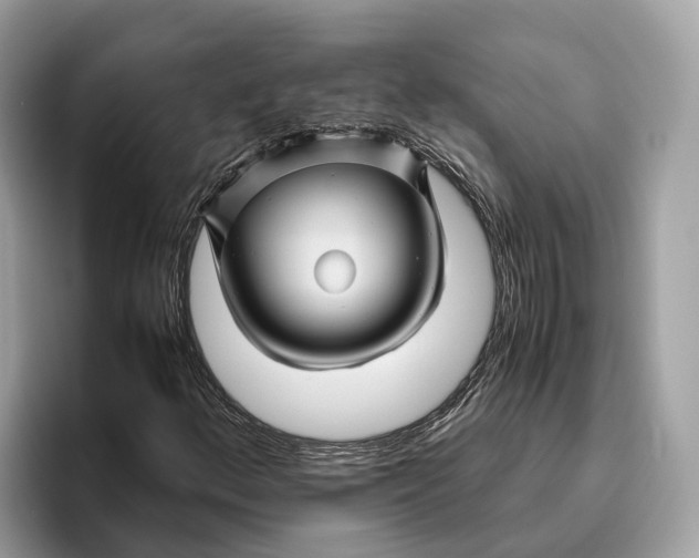 X0000096441156200802141446