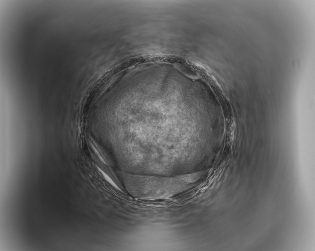 X0000096441157200802141446