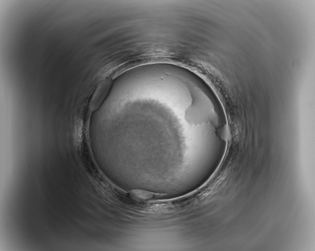 X0000096441161200802141446