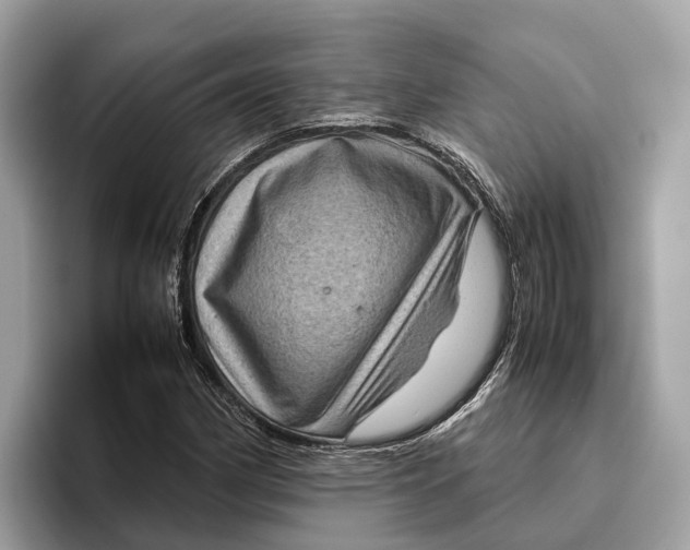 X0000096441162200802141446