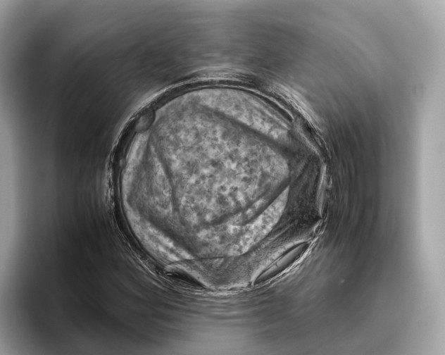 X0000096441164200802141446