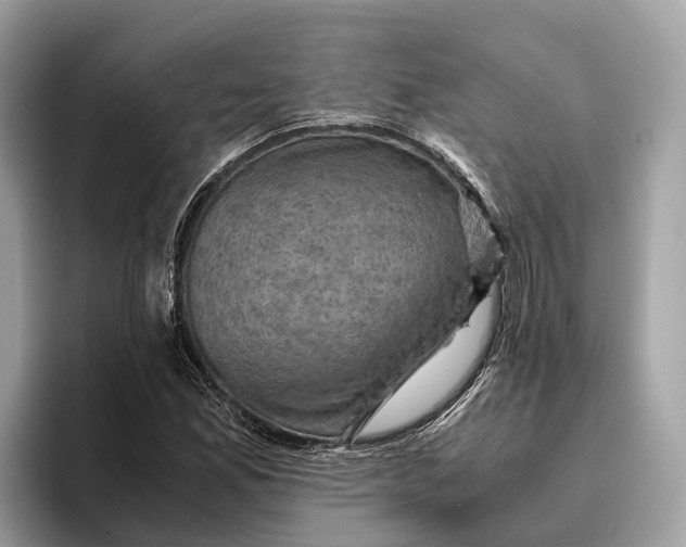 X0000096441165200802141446