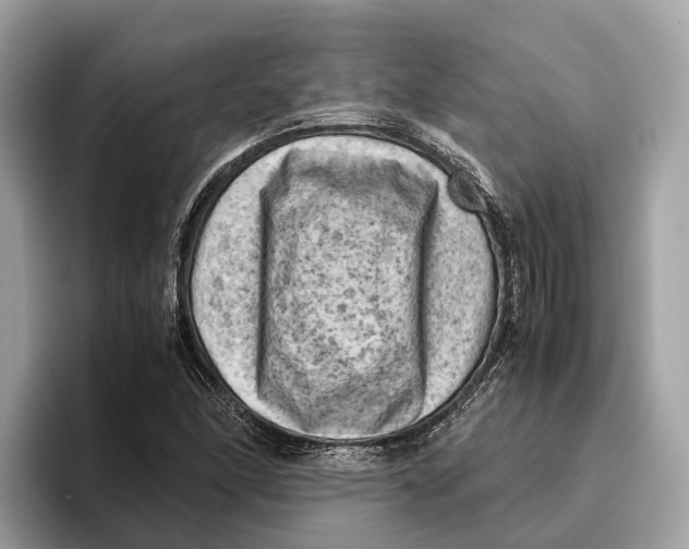 X0000096441166200802141446