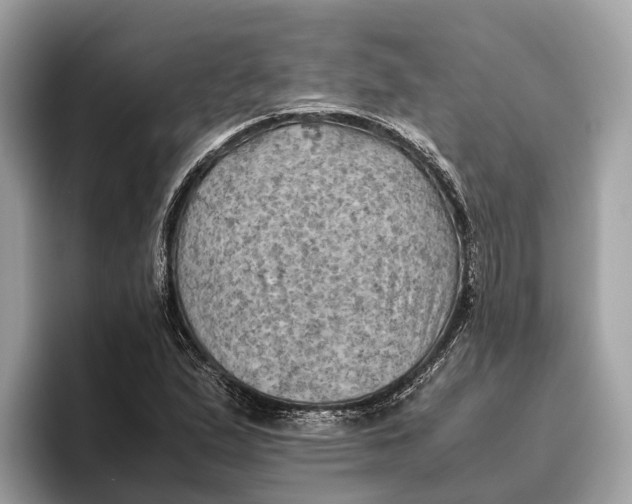 X0000096441167200802141446