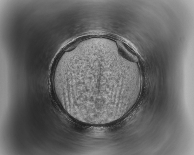 X0000096441168200802141446