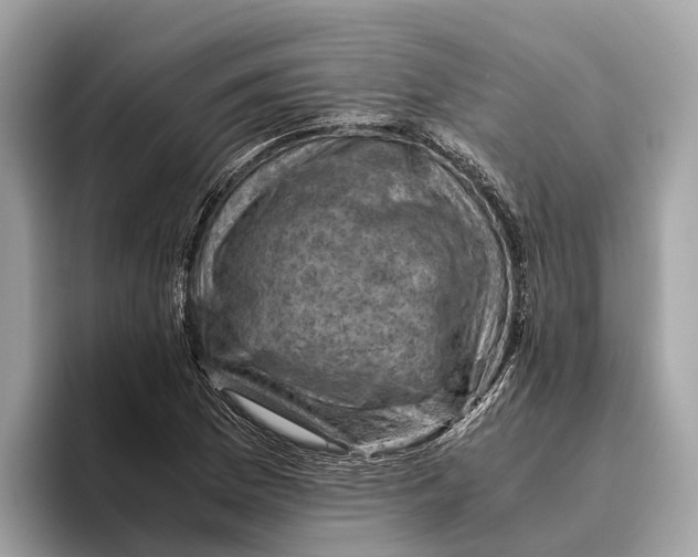 X0000096441169200802141446