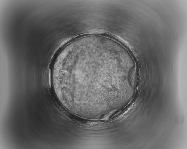 X0000096441171200802141446