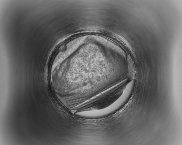 X0000096441172200802141446