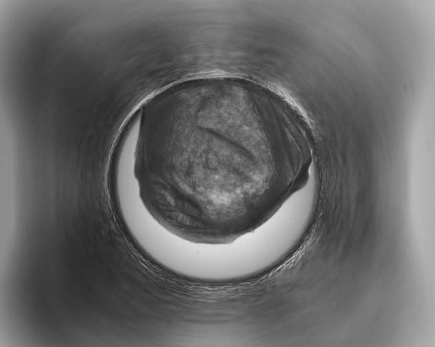 X0000096441173200802141446