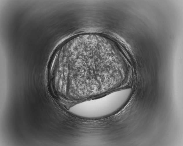 X0000096441174200802141446