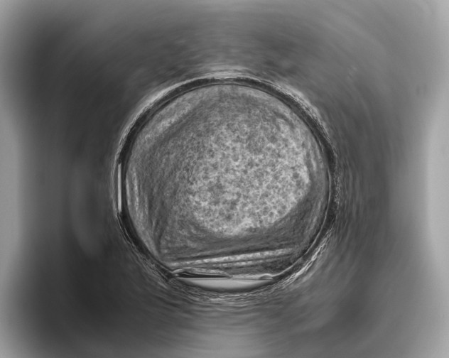 X0000096441175200802141446