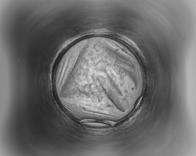 X0000096441176200802141446