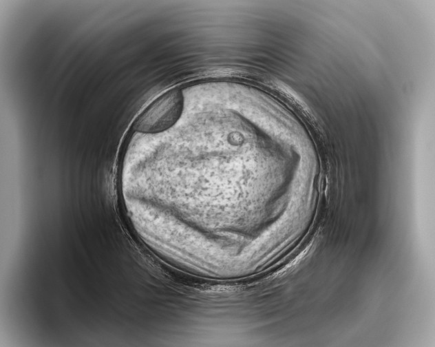 X0000096441178200802141446