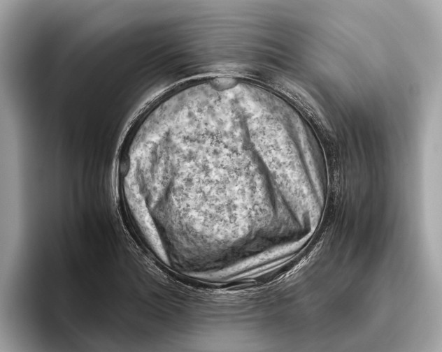 X0000096441180200802141446