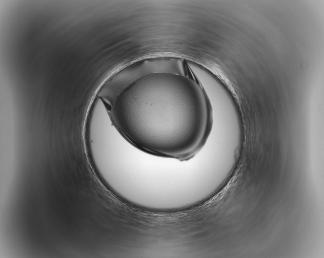 X0000096441181200802141446