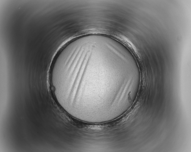 X0000096441182200802141446