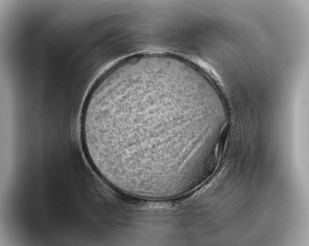 X0000096441183200802141446