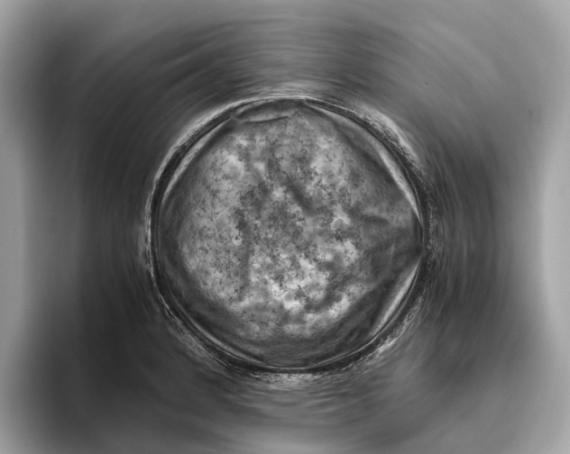 X0000096441184200802141446