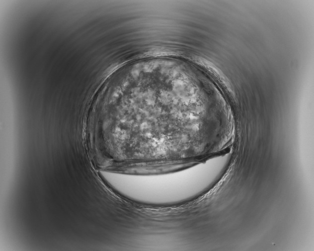 X0000096441185200802141446