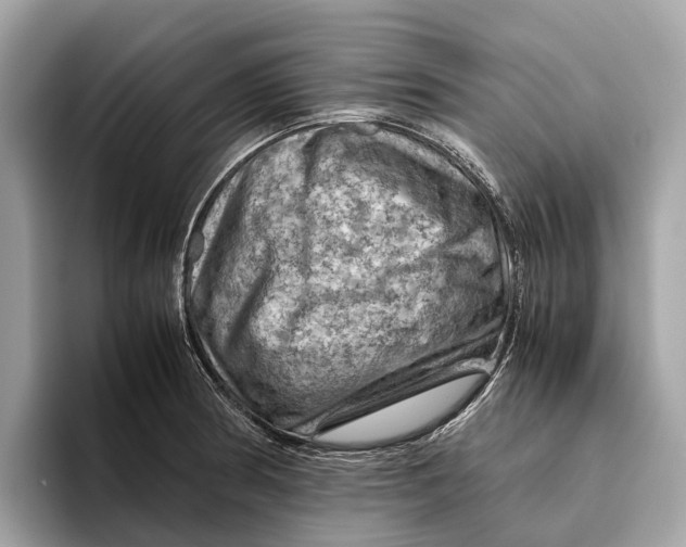 X0000096441186200802141446