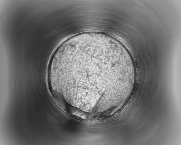 X0000096441187200802141446