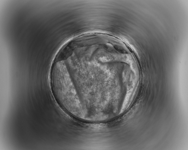 X0000096441189200802141446