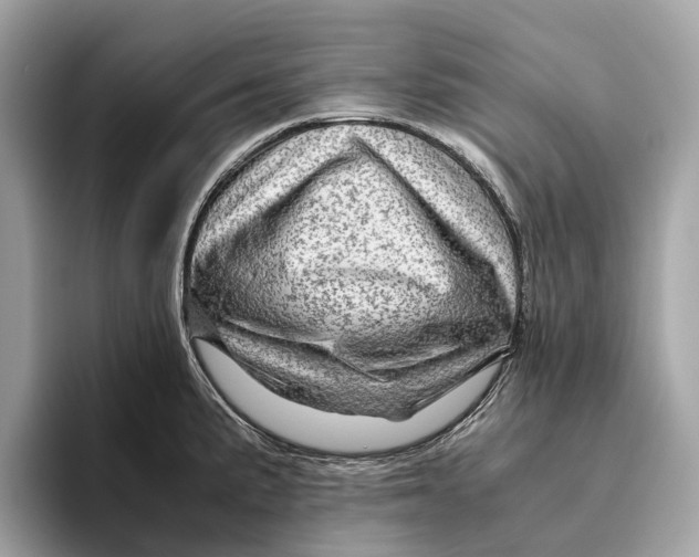 X0000096441191200802141445