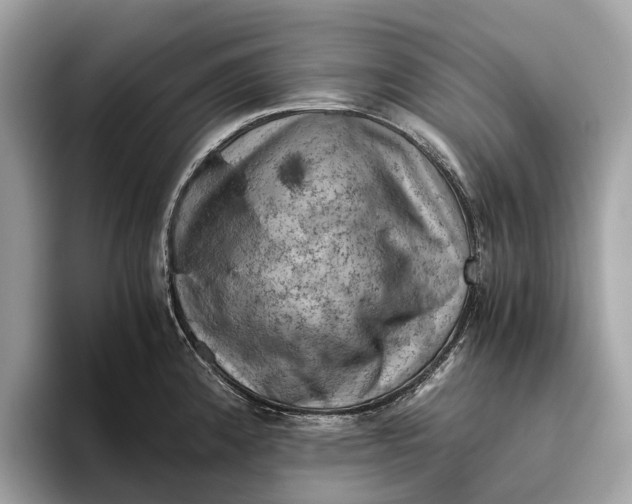 X0000096441192200802141445