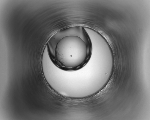 X0000096441193200802141445